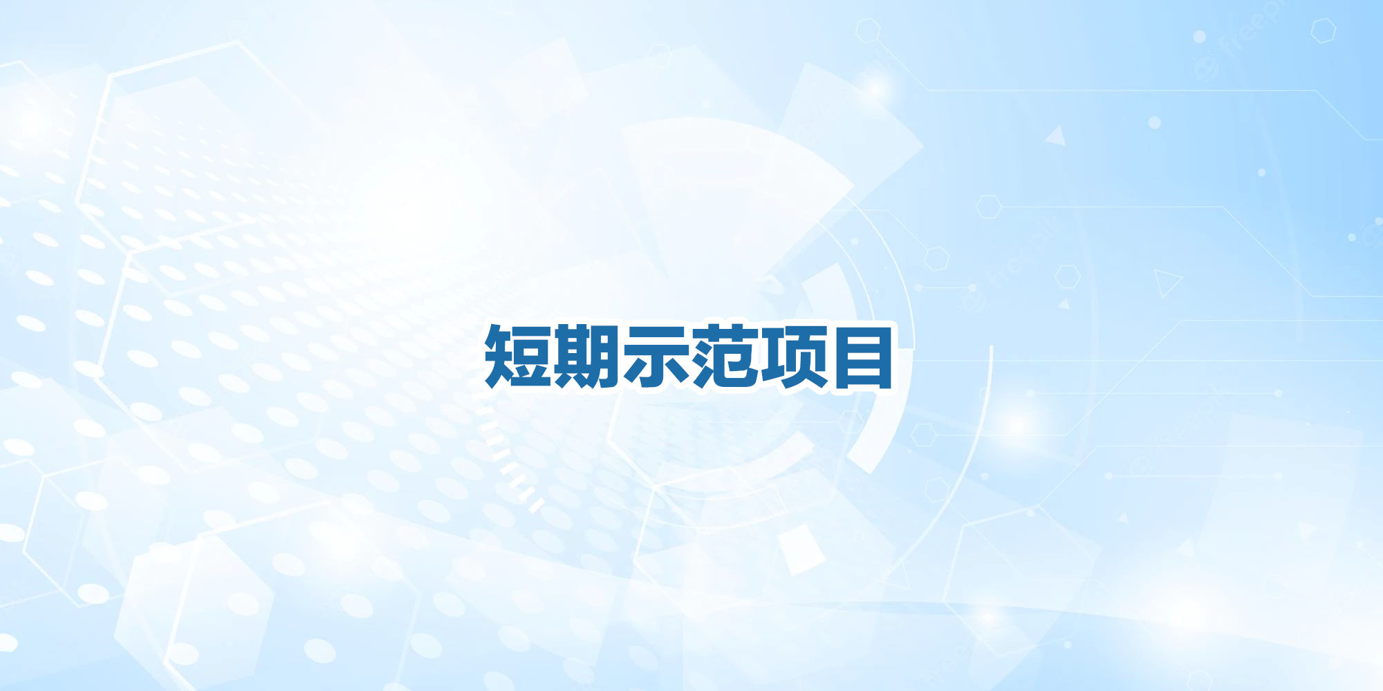 短期示范项目
