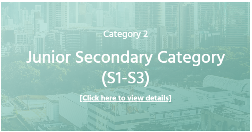 Details of category 2