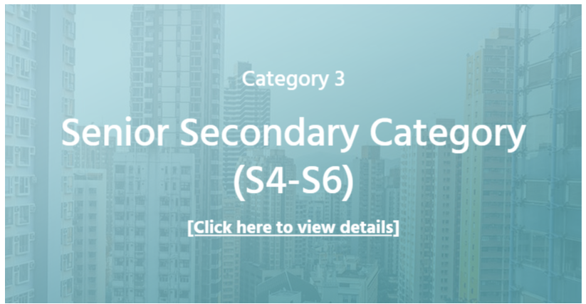 Details of category 3