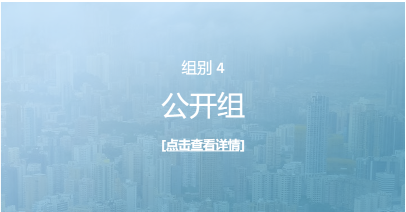 公开组详情