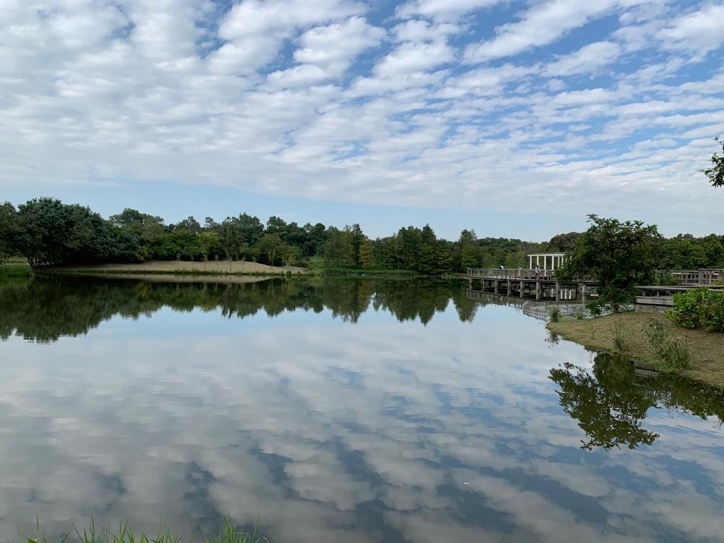 如何解決香港堆填區飽和問題？相片