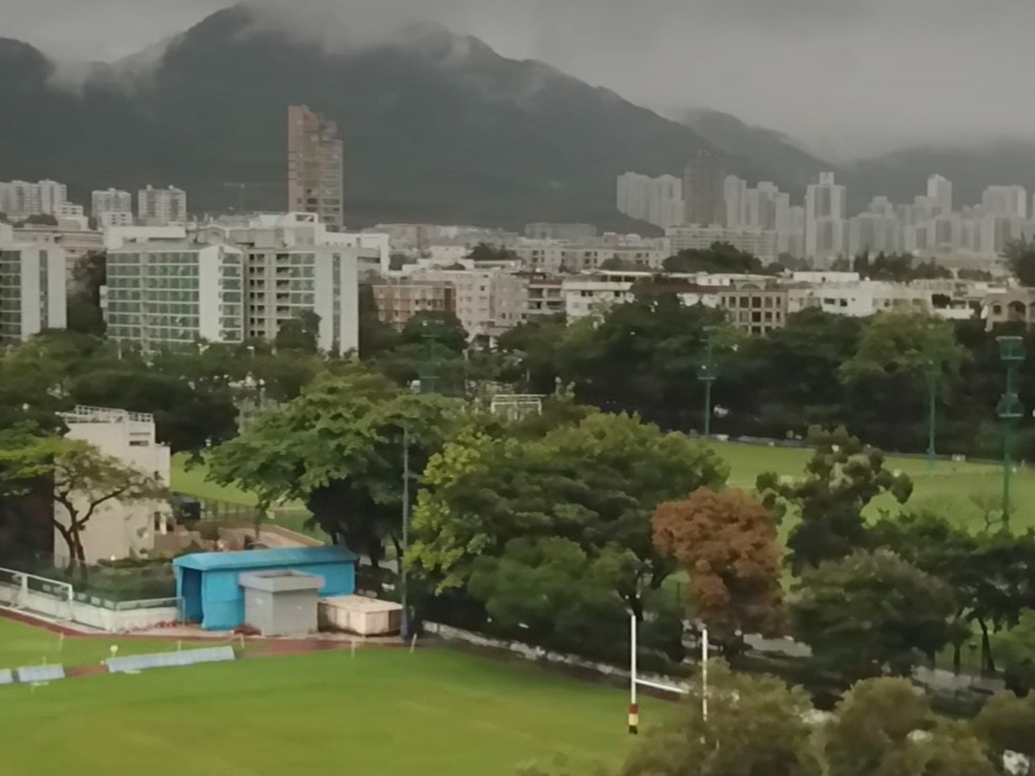 綠色無界限相片