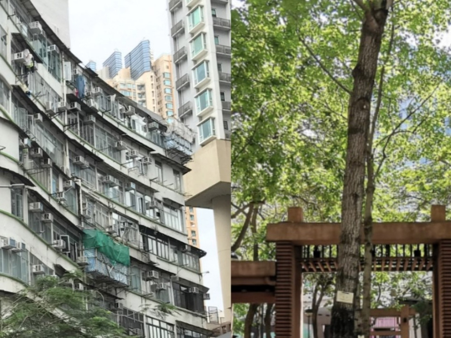 綠悠大角咀相片