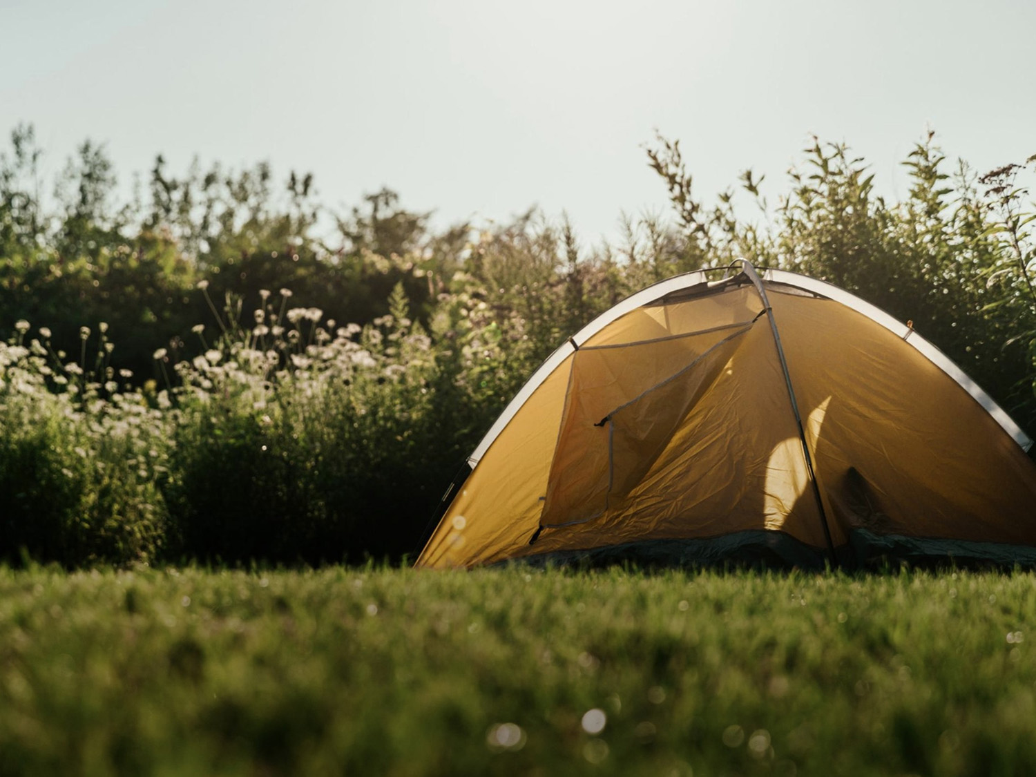 Camping, but not Tampering相片