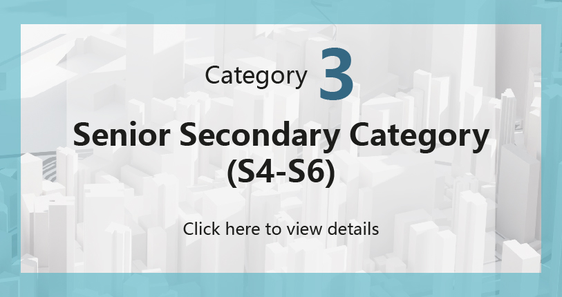 Details of Category 3